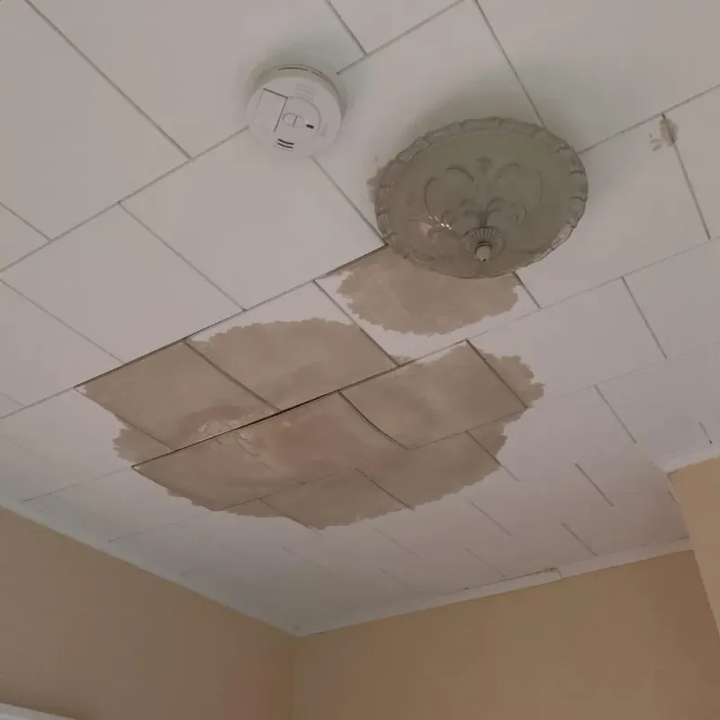 Ceiling Water Damage Repair in Chadbourn, NC