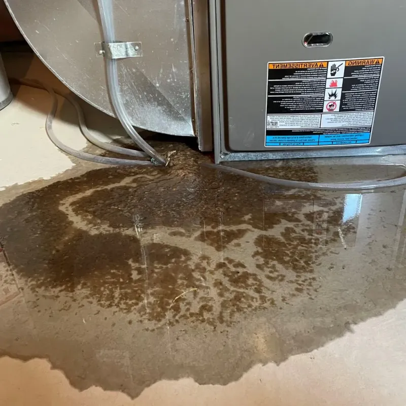 Pipe Burst and Leak Restoration in Chadbourn, NC