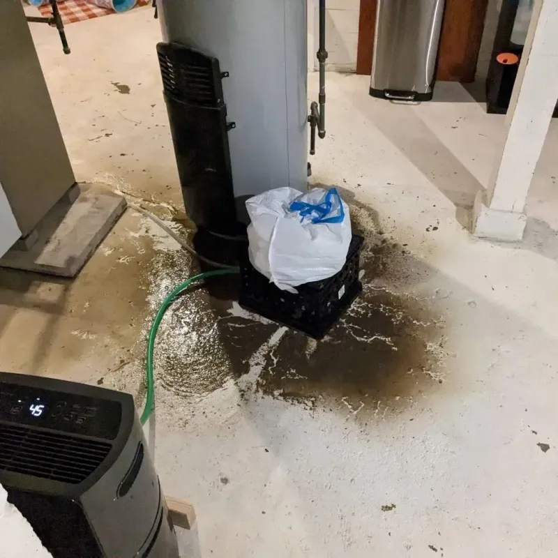 Sewage Backup Cleanup Service in Chadbourn, NC
